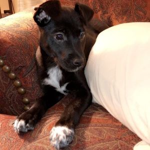 Meet your Posher, Lauren